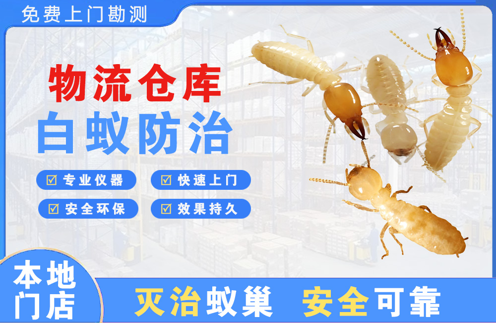 保亭物流仓库白蚁防治