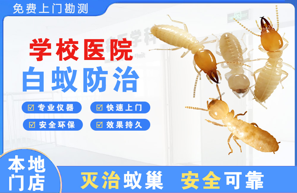 保亭学校医院白蚁防治