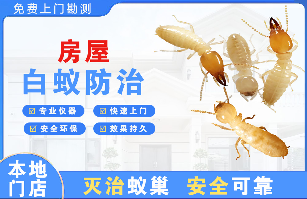 保亭房屋白蚁防治